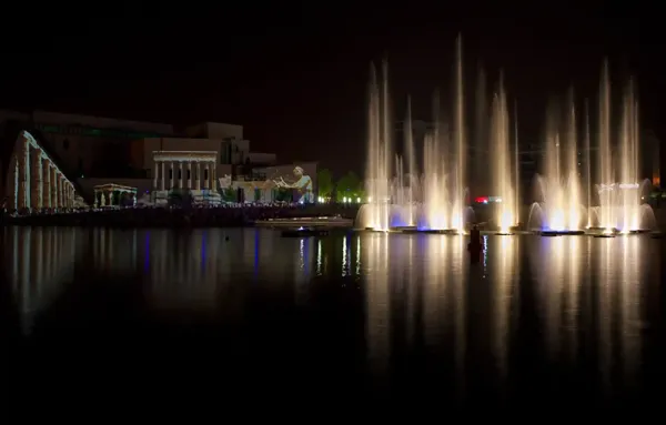 custom made water show summer strasbourg 14